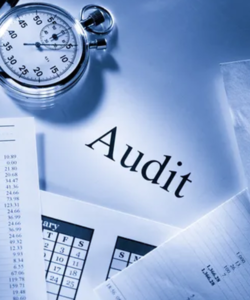 Audit Assurance